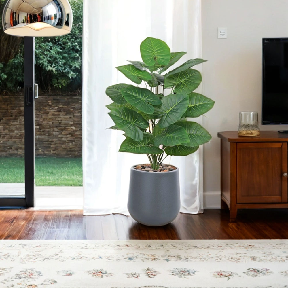 01198d63-9002-4467-93b2-f72a9c43a57d