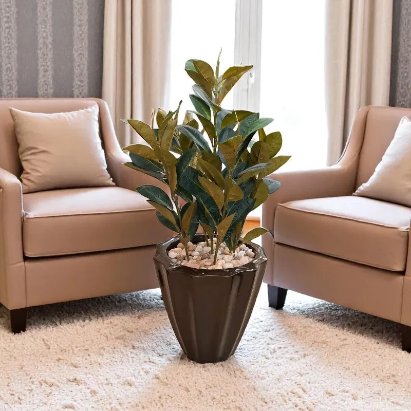 faux-rubber-tree-29849