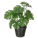 تصميم بدون عنوان (6)